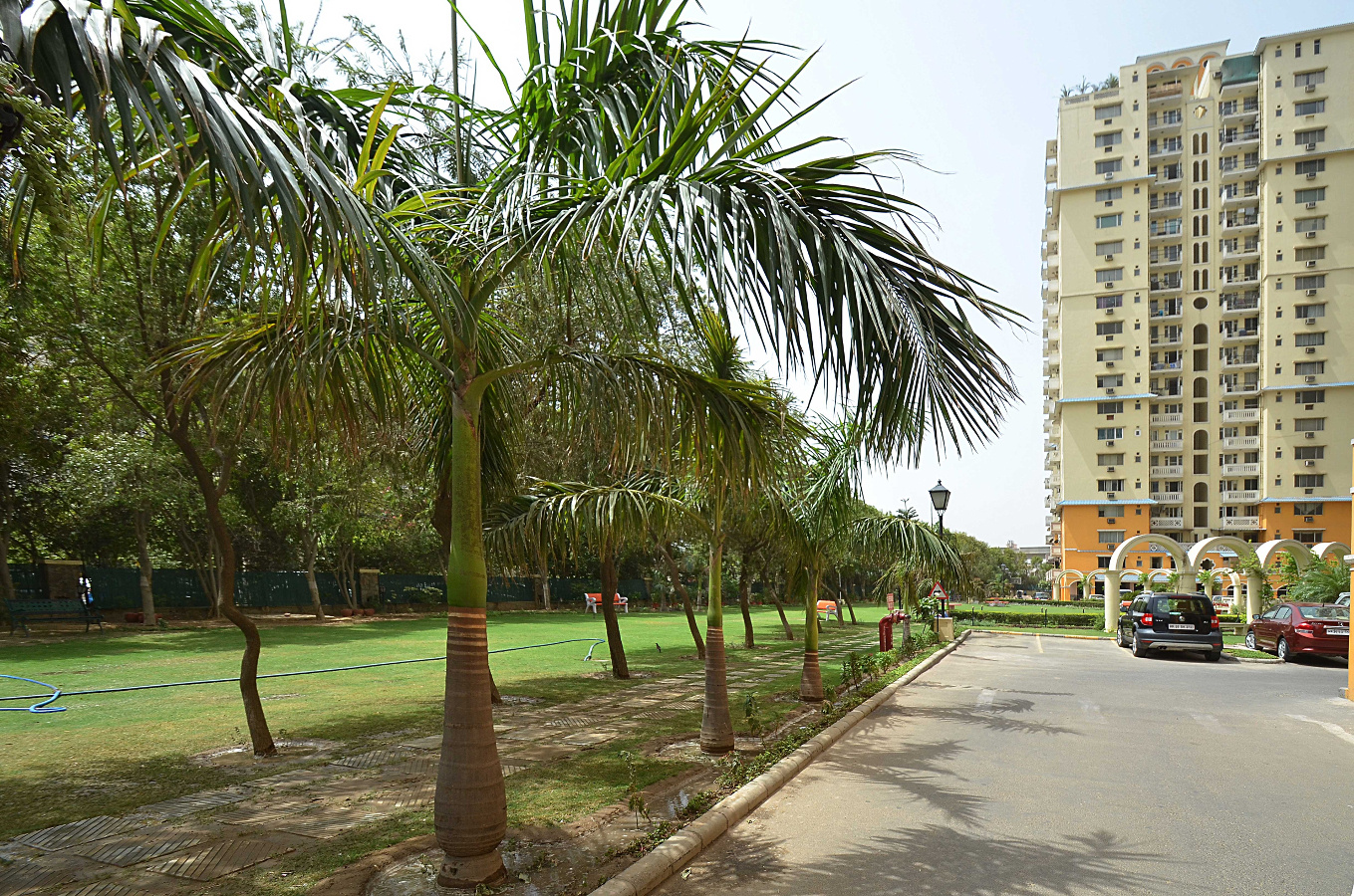 DLF Belvedere Tower in Sector 24, Gurgaon Price, Location Map, Floor