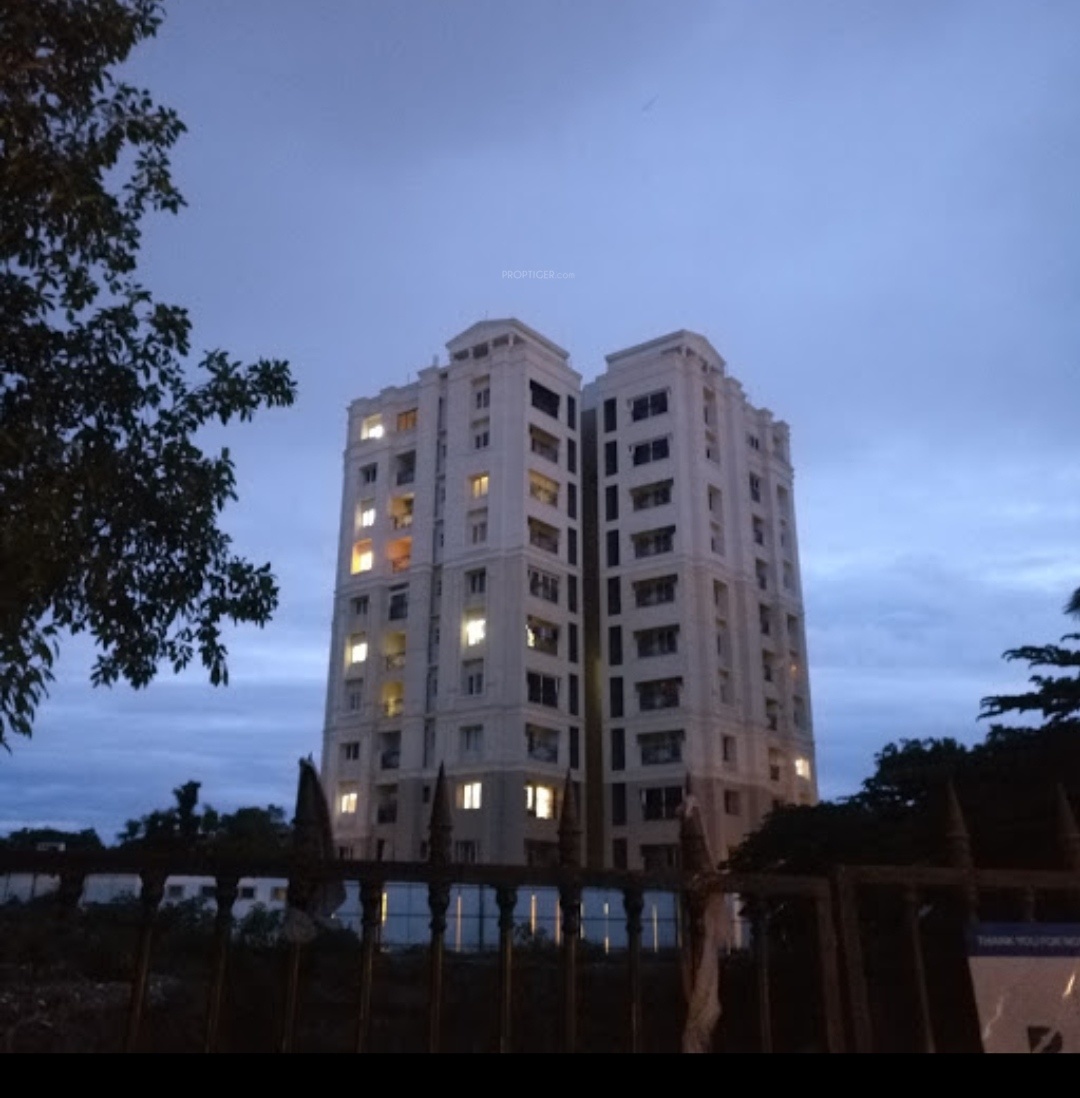 Mayflower Caladium in Peelamedu, Coimbatore Price, Location Map