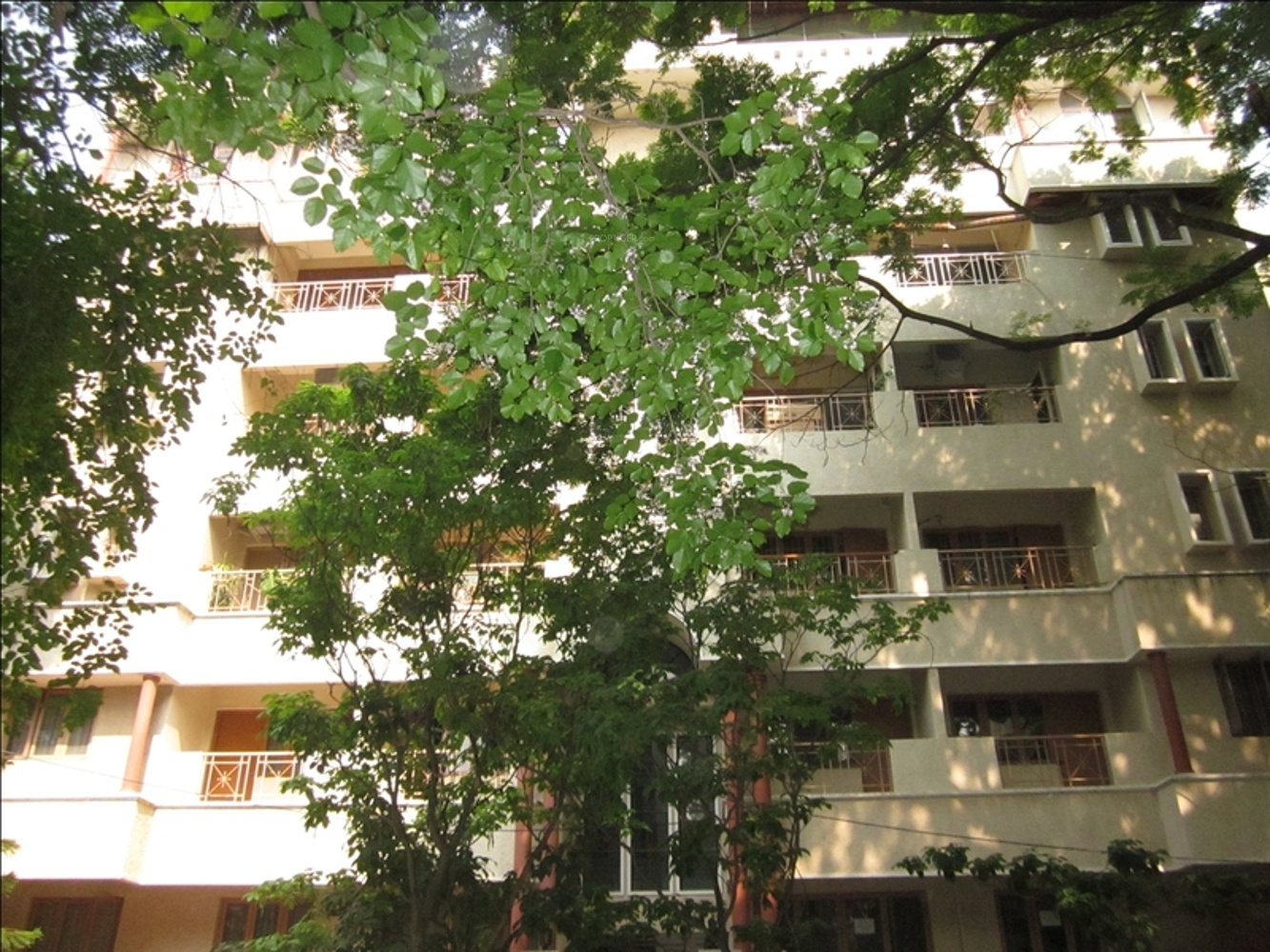 1500 sq ft 3 BHK 3T Apartment for Sale in Mahabaleshwara Classique