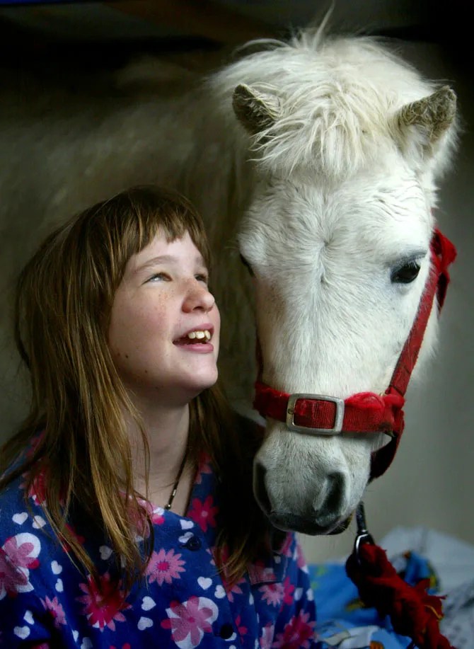 Pet therapy How animals help us heal Rediff Getahead