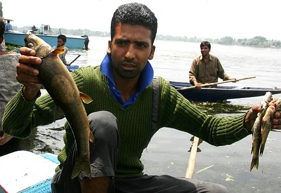 Photos The Dal Lake is ecologically sick News