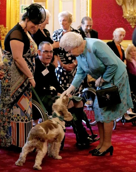 Queen's dogs eat dinners served by butlers on silver