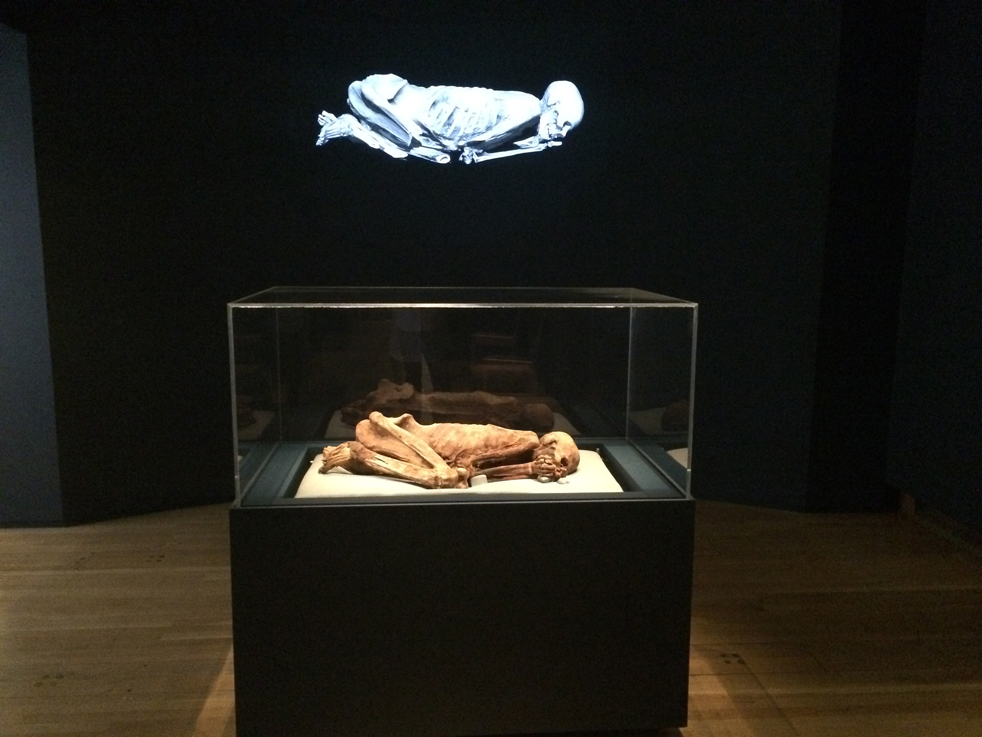 British Museum Exposition « Ancient Lives New Discoveries » IMA Solutions