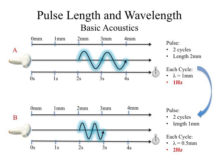 Internal Medicine Point of Care Ultrasound IMPoCUS
