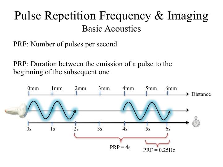 Internal Medicine Point of Care Ultrasound IMPoCUS