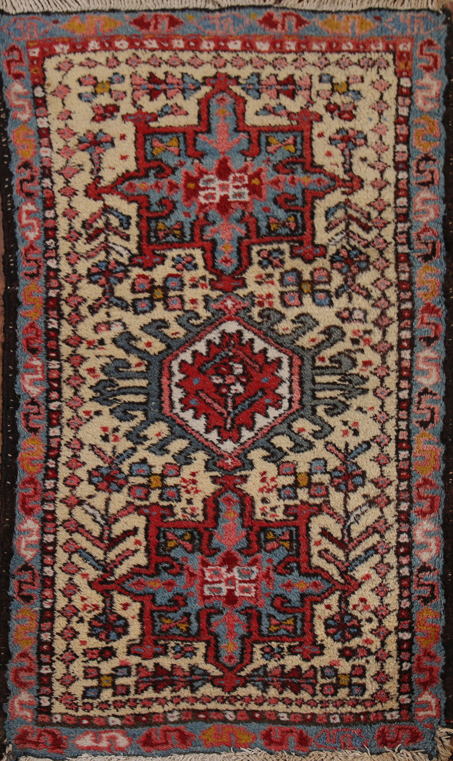 Vegetable Dye Gharajeh Persian Area Rug 2x3