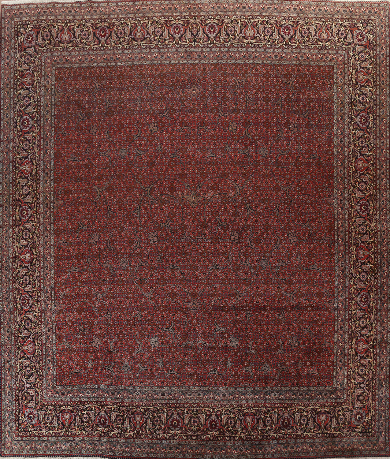 Vegetable Dye Floral Bidjar Square Persian Rug 15x15