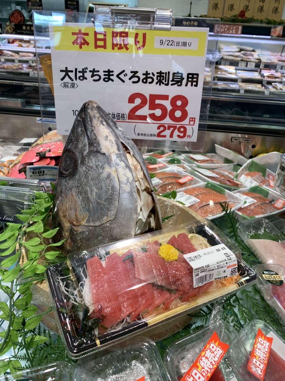 フレンドマート高槻氷室店★新鮮な魚!! いいねいいねドットコム 北大阪エリア 地域スーパー情報サイト