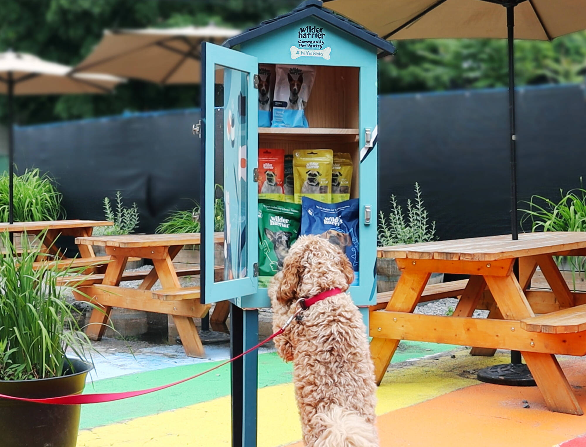 Wilder Harrier Community Pet Pantries • Ads of the World™ Part of The Clio Network