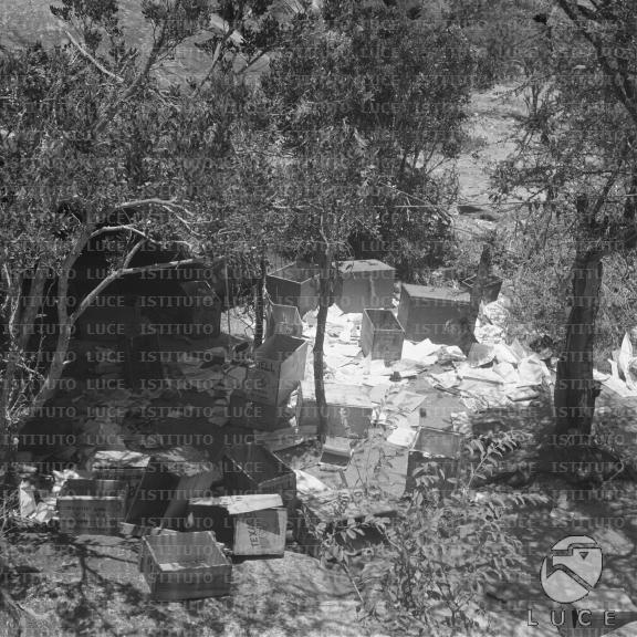 Un caposaldo britannico protetto dalla vegetazione con i materiali