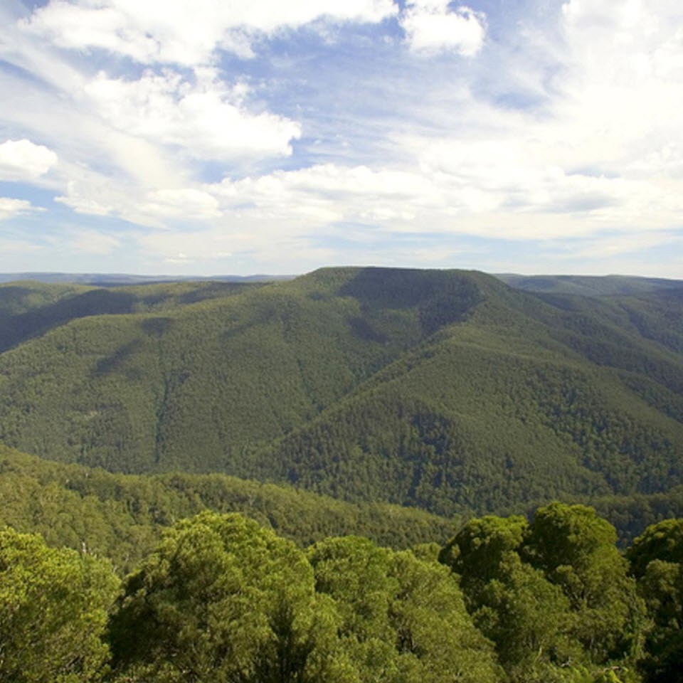 배링턴 톱스(Barrington Tops) 국립공원 헌터 밸리