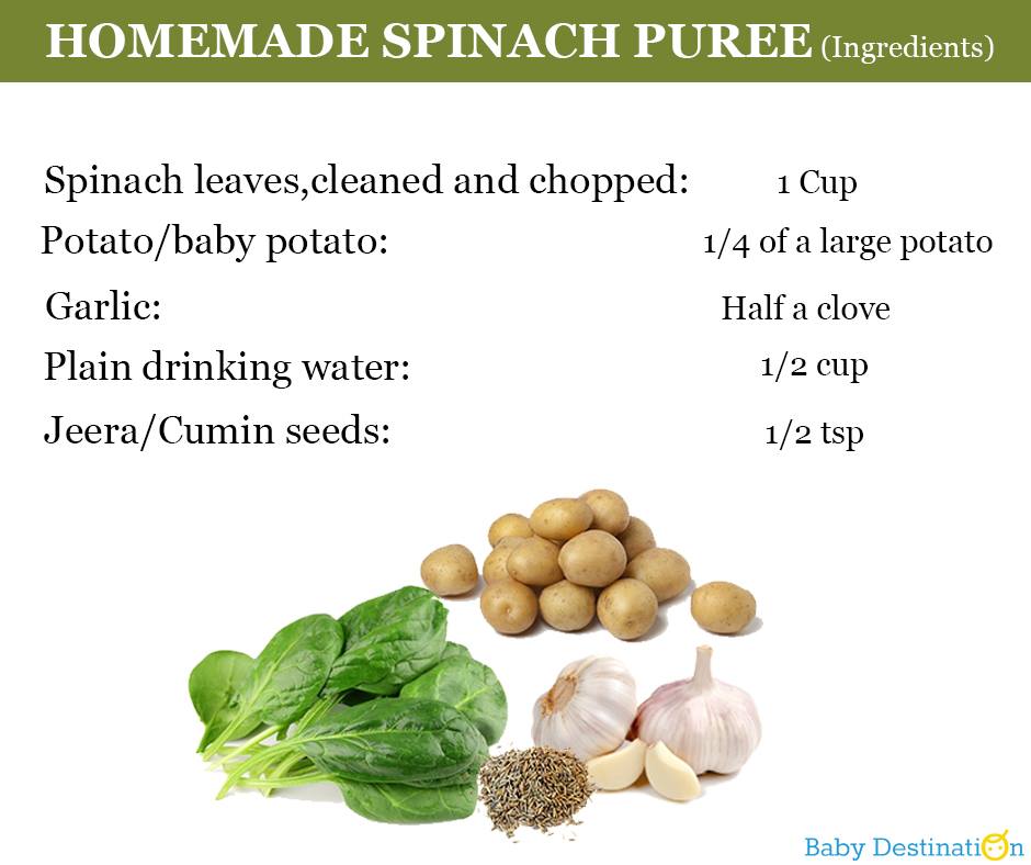 Spinach Puree Recipe