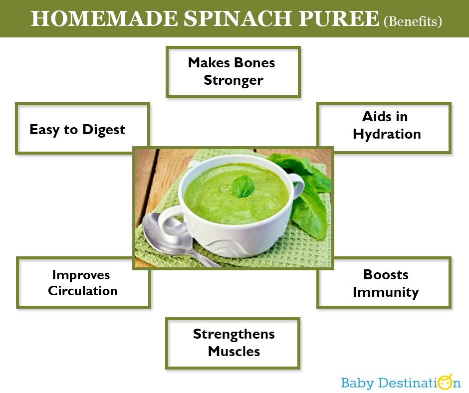 Spinach Puree Recipe