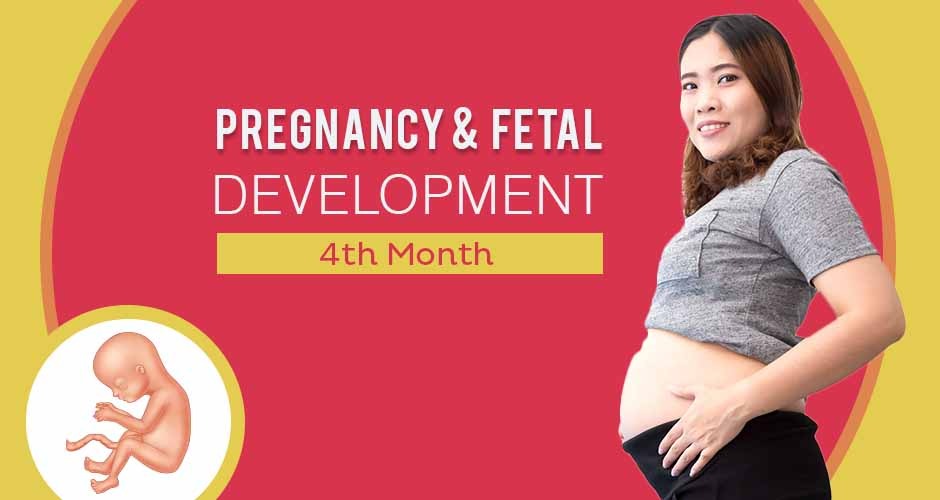 Fourth Month of Pregnancy Care, Diet, Symptoms & Fetus Changes