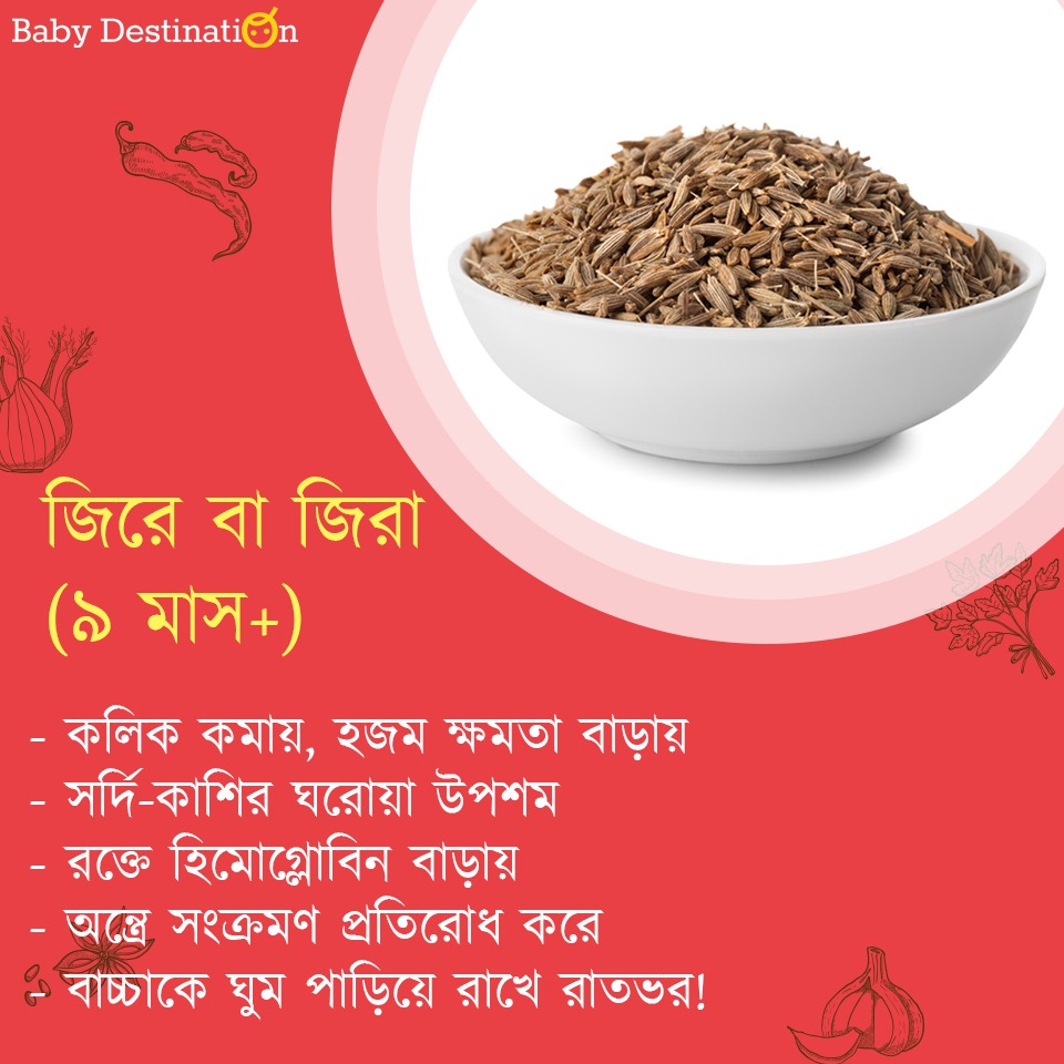 বাচ্চার শরীরে মশলার ম্য়াজিক Spices You Should Mix in Baby\'s Food in