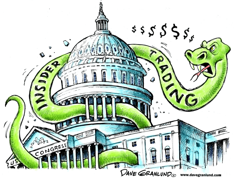 Insider trading and Congress