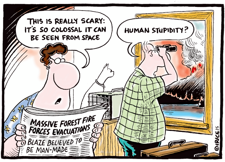 Human Stupidity