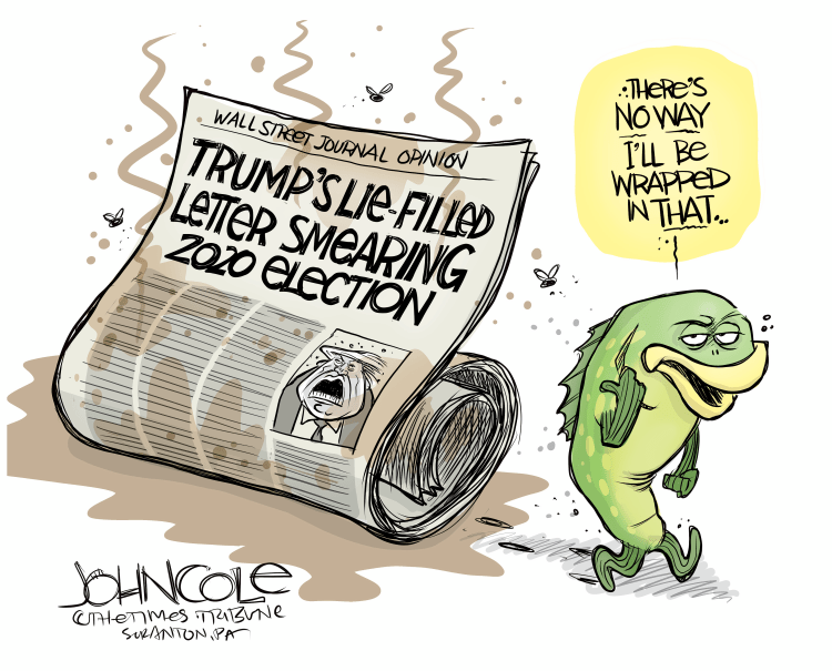 letter to the editor