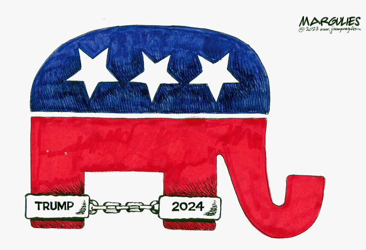 Recall of Cough Medicine TGA THE PUB