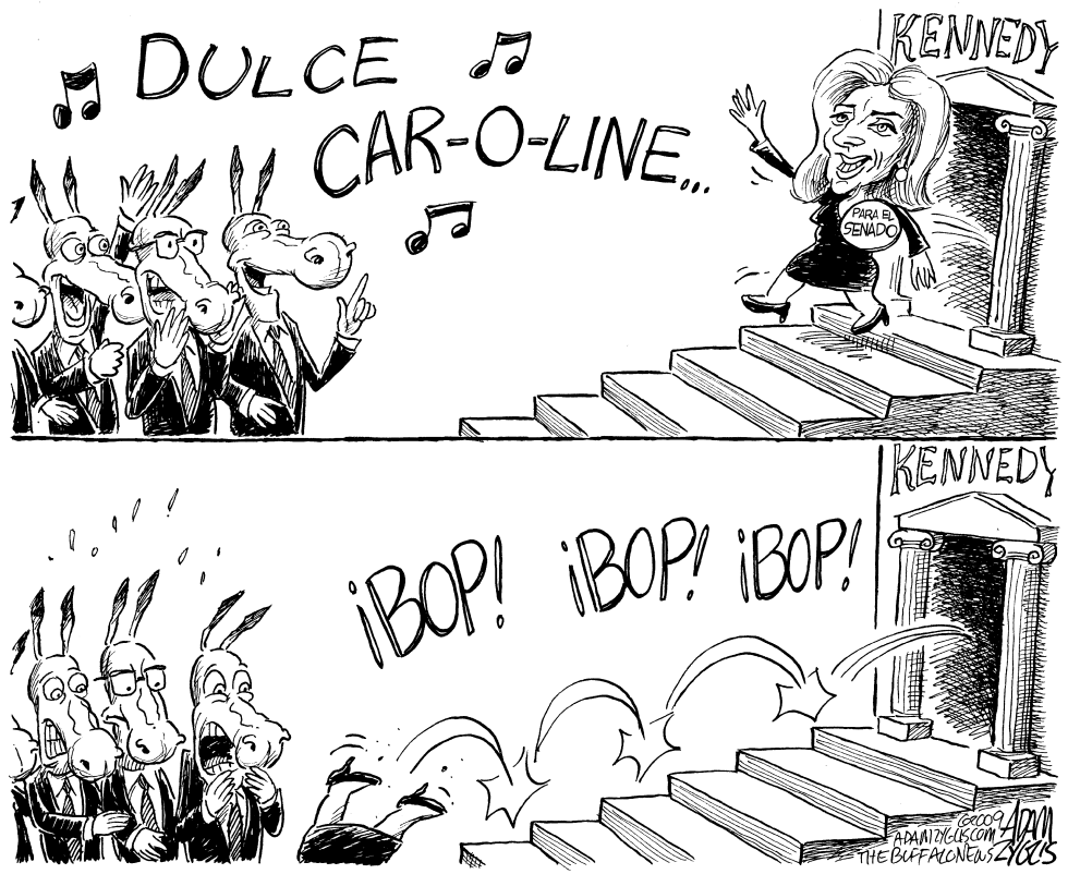 Caroline Kennedy Cartoons