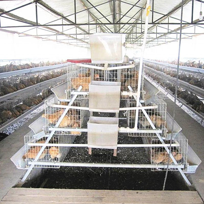 Chicken Wire Cage Y Fence