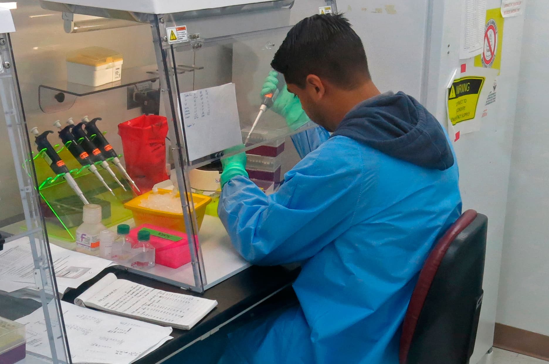 Zika expected to infect 1 in 5 in Puerto Rico