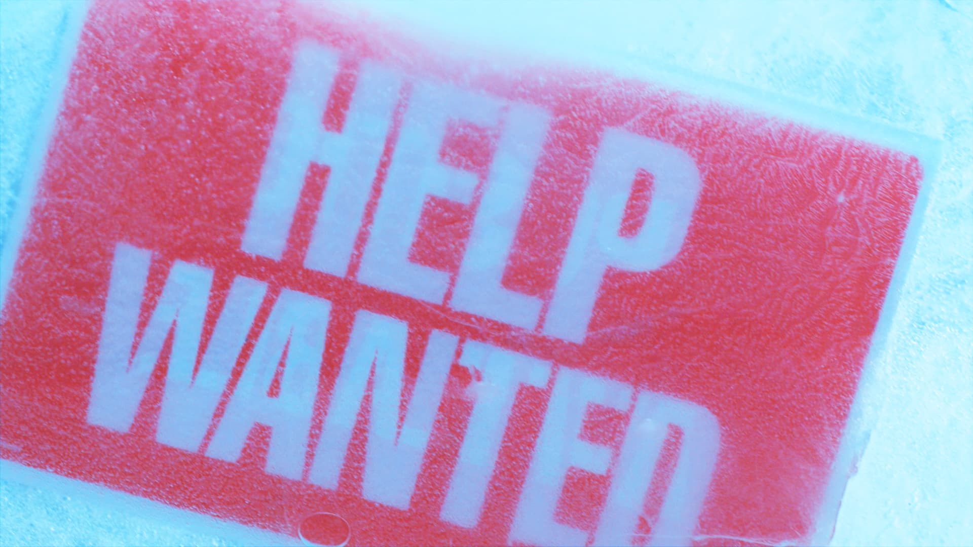 What is a hiring freeze? And what to do if you encounter one