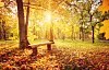 Unusually Dry and Warm Week Forecast for France Weather Update