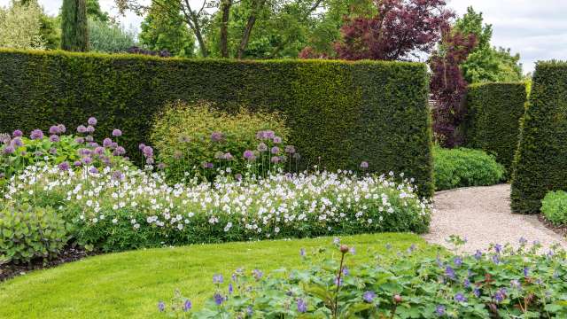 Plantvakken, hagen en bomen bemesten DCM