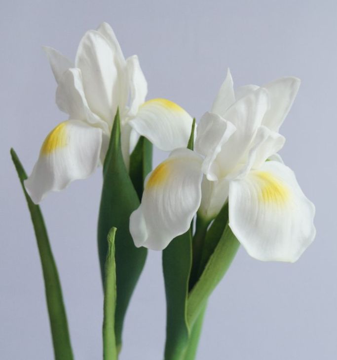 2019 Real Touch Flowers Latex Artificial Iris Multicolors Wonderful