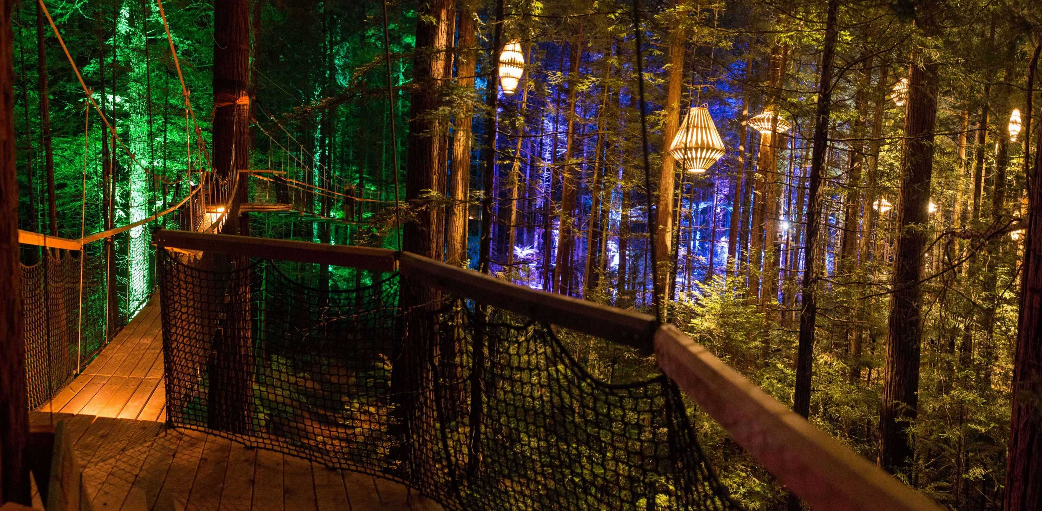 Lighting In the not so deep, dark forest DesignCurial