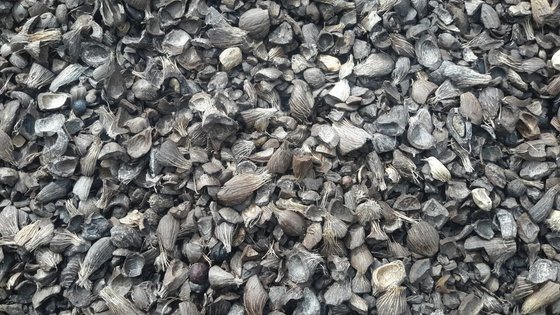 Palm Kernel Shell(id9537318) Product details View Palm