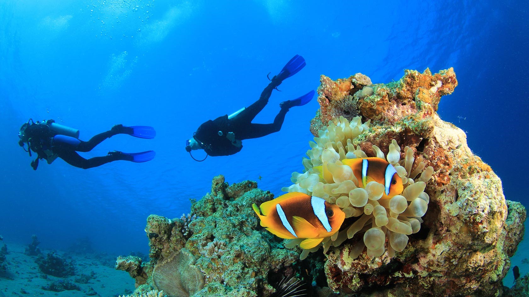Alanya Diving Tour Alanya swimming Diving ticket Cheap Diving Tours
