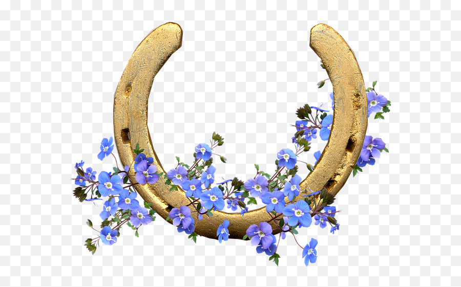 Pin Horse Shoe With Flowers Emoji,Horseshoe Emoji free transparent