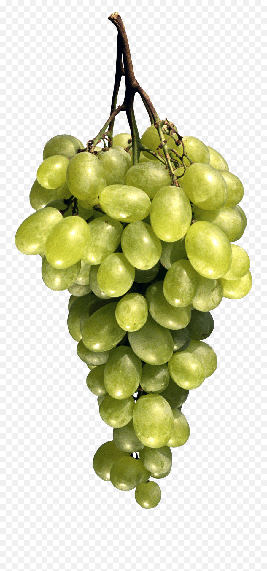 Green Grapes Fruit Images Download Emoji,Grape Emoji free