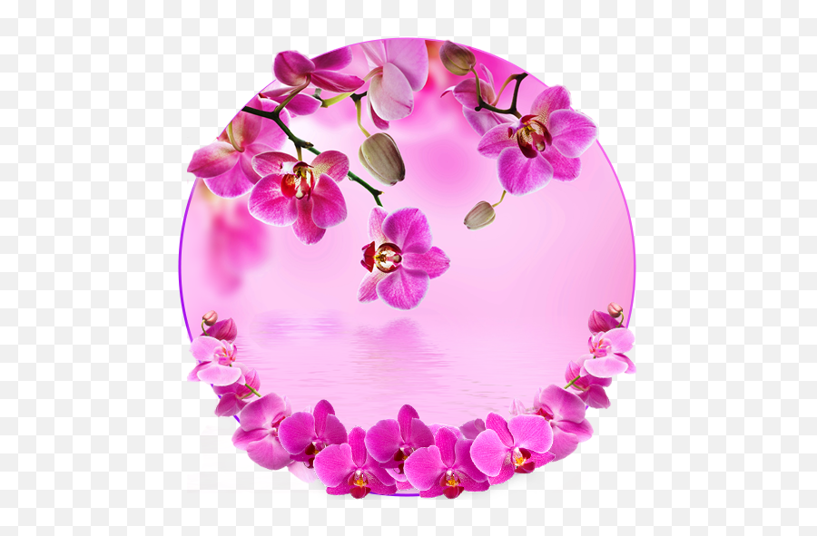 Orchid Spring Flowers Theme Apps On Google Play Blue Orchids In