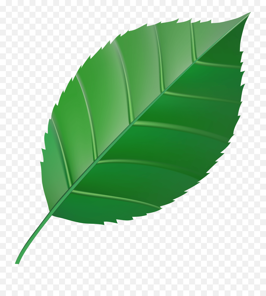 Clipart Transparent Green Leaf Emoji,Green Leaf Emoji free