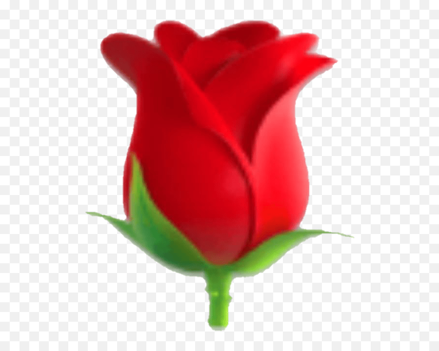 Emoji Rose Flower Redflower Red Redrose Transparent Background Rose