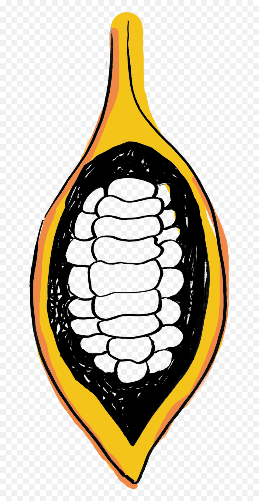 Cacao Pod Split Open Graphic Cocoa Bean Clipart Full Cocoa Pod Cocoa Beans Clipart Emoji