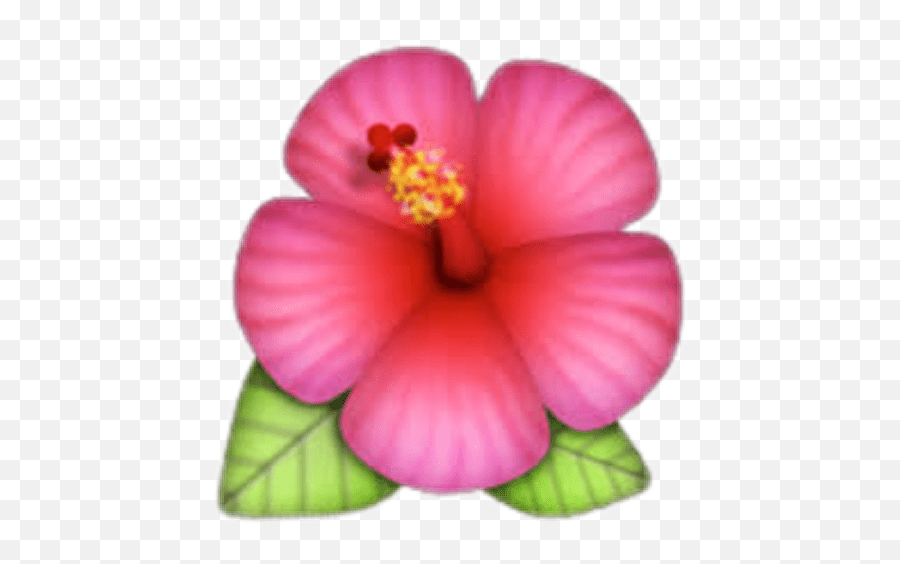 Tropical Emoji Png Picture Hibiscus Emoji,Tropical Emojis free