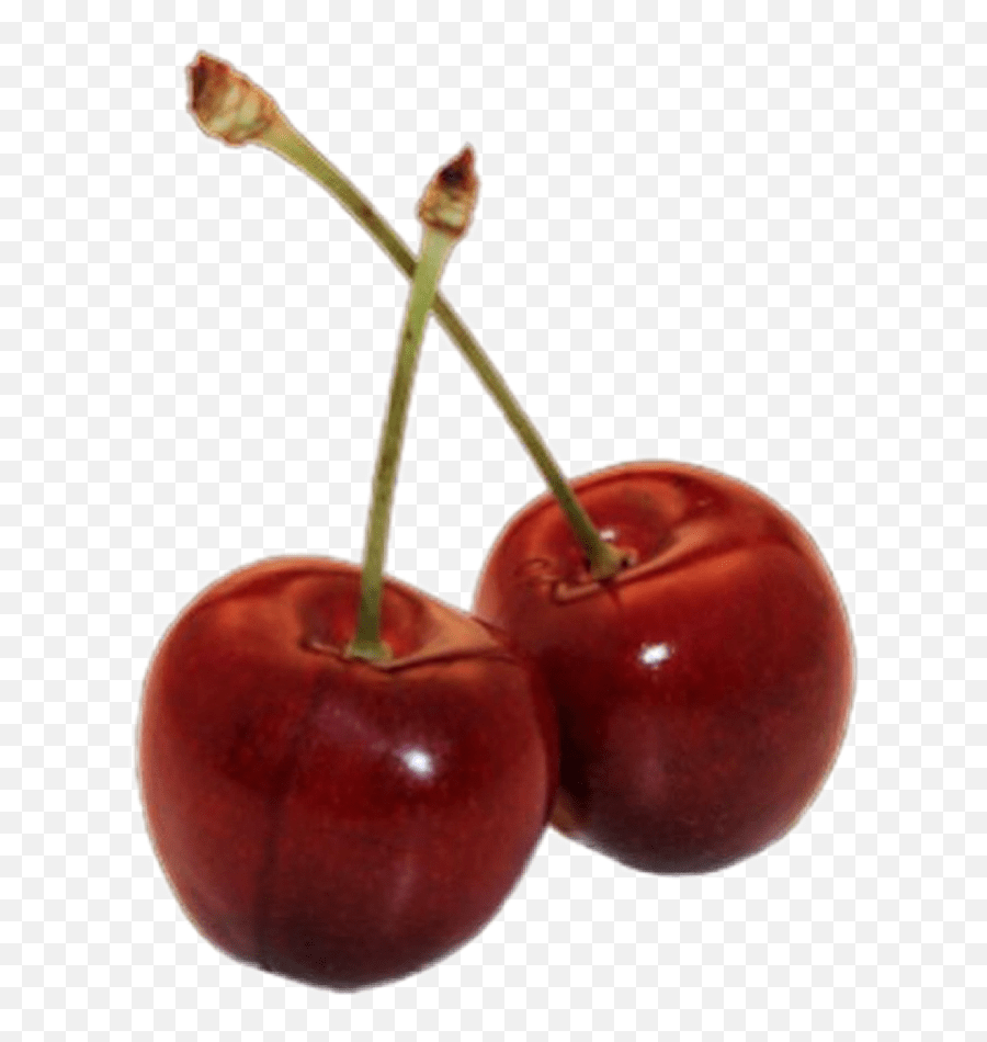 Largest Collection Of Free Toedit Cherrys Stickers Emoji,Cherry