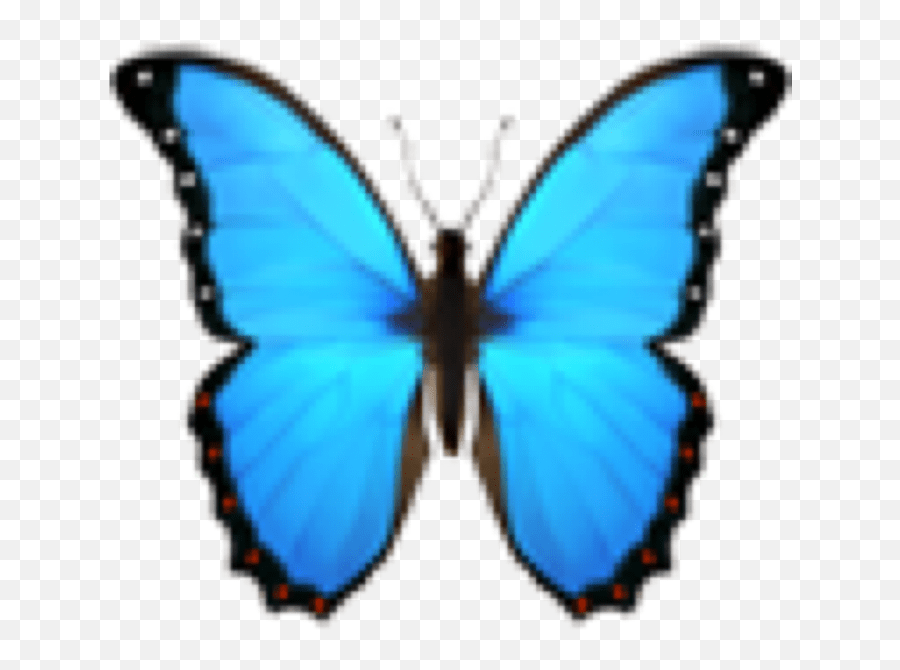 Blue Butterfly Insect Emoji Cute Emojis Leaf Tumblr Aes Apple Emoji