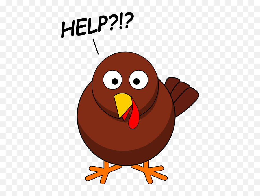 Turkey Feather Ms U0027blog Shake A Tail Feather Itu0027turkey Time