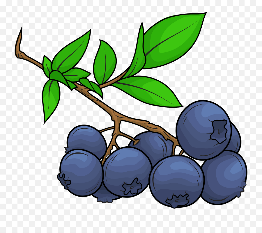 Blueberry Clipart Fresh Emoji,Blueberry Emoji free transparent