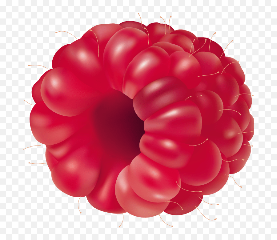 Raspberry Emoji Png Raspberry Fruit Vector,Fruit Emojis free