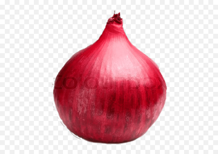 Popular And Trending Onion Stickers Red Onion Emoji,Onion Emoji