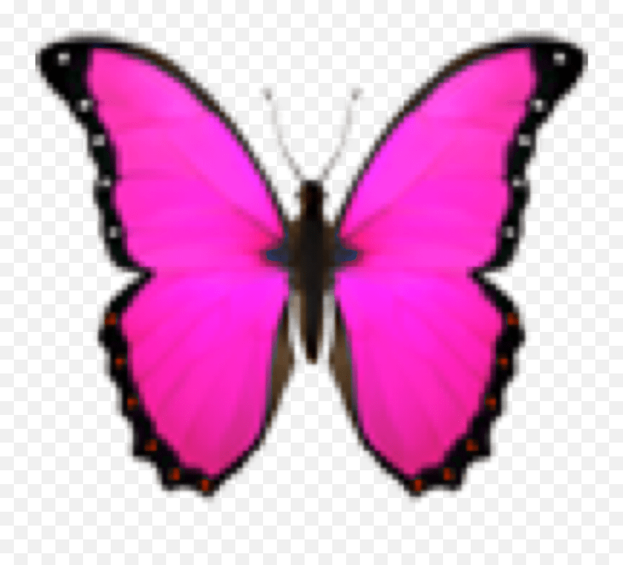 Butterfly Butterflyemoji Pink Pinkemo Butterfly Emoji Transparent