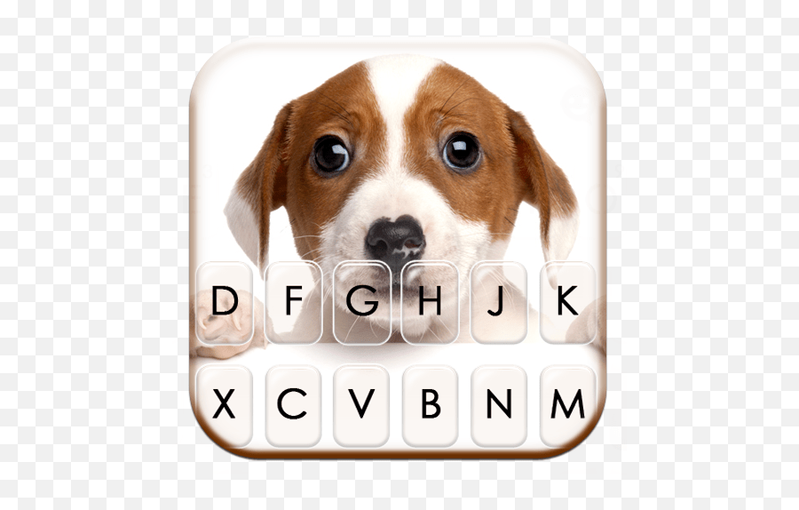 Download Cute Puppy Eyes Keyboard Theme Rspca Vic Emoji,Puppy Eye