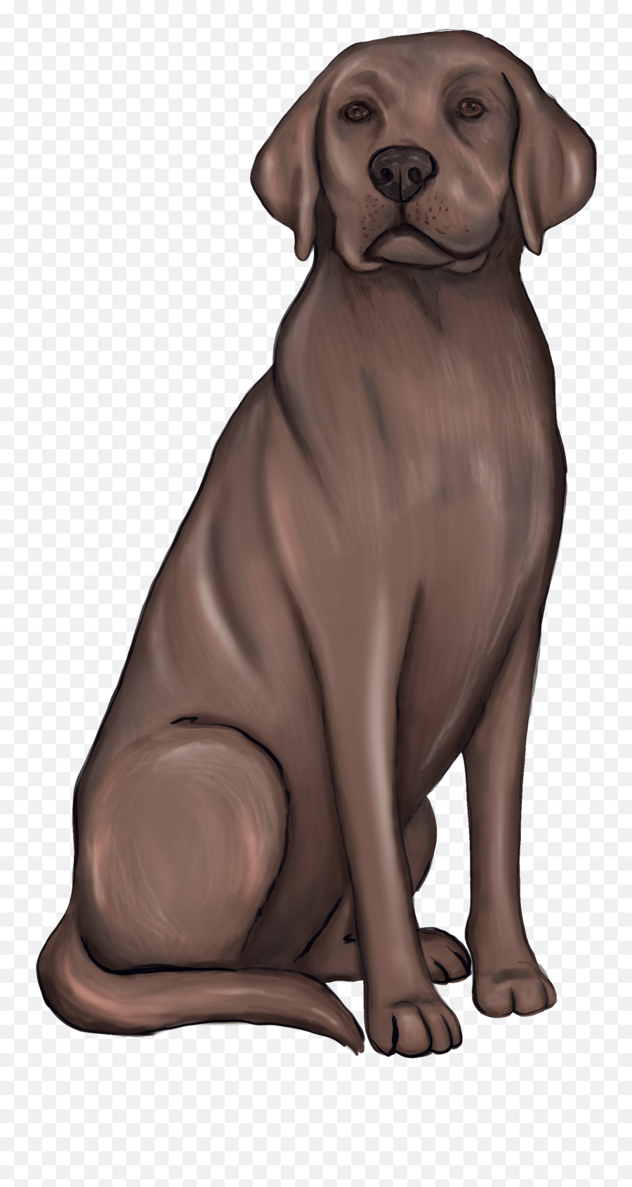 The Most Edited Labrador Picsart Labrador Retriever Emoji,Black Lab