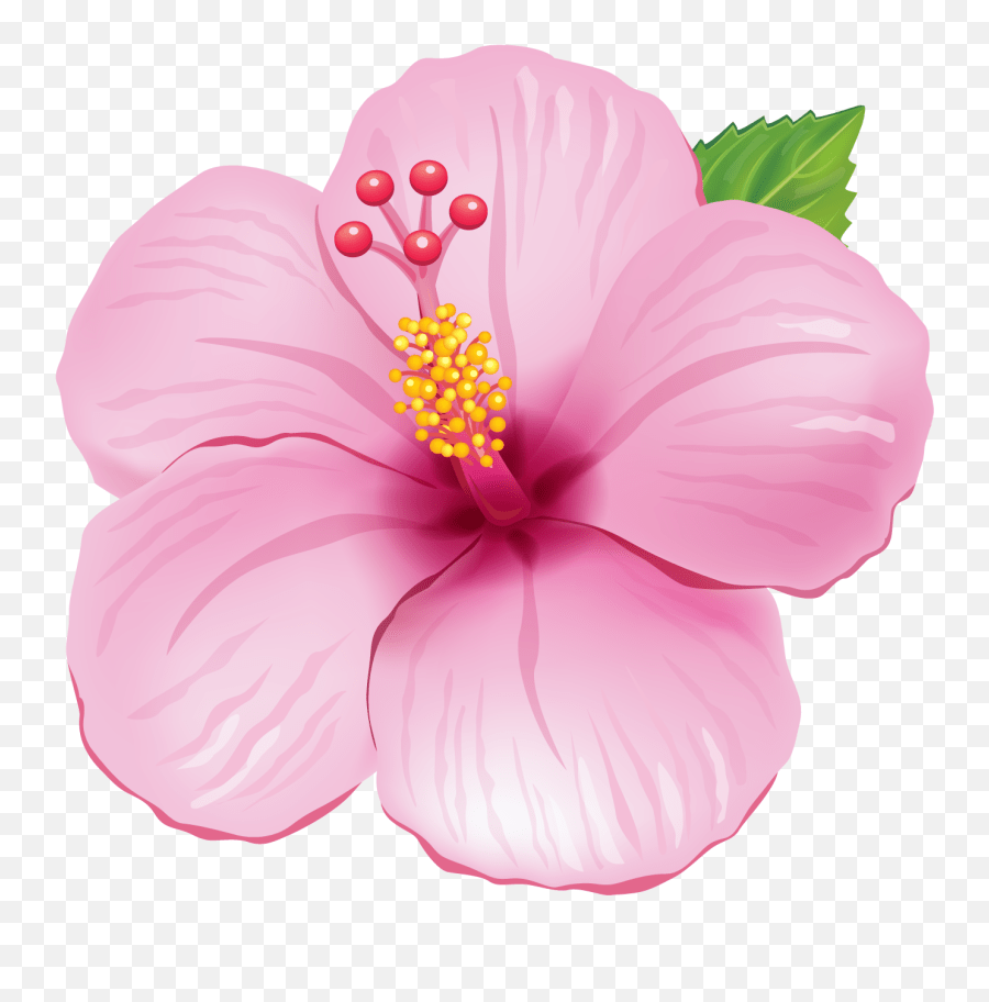 Pin Hawaiian Flowers Transparent Background Emoji,Hibiscus Emoji